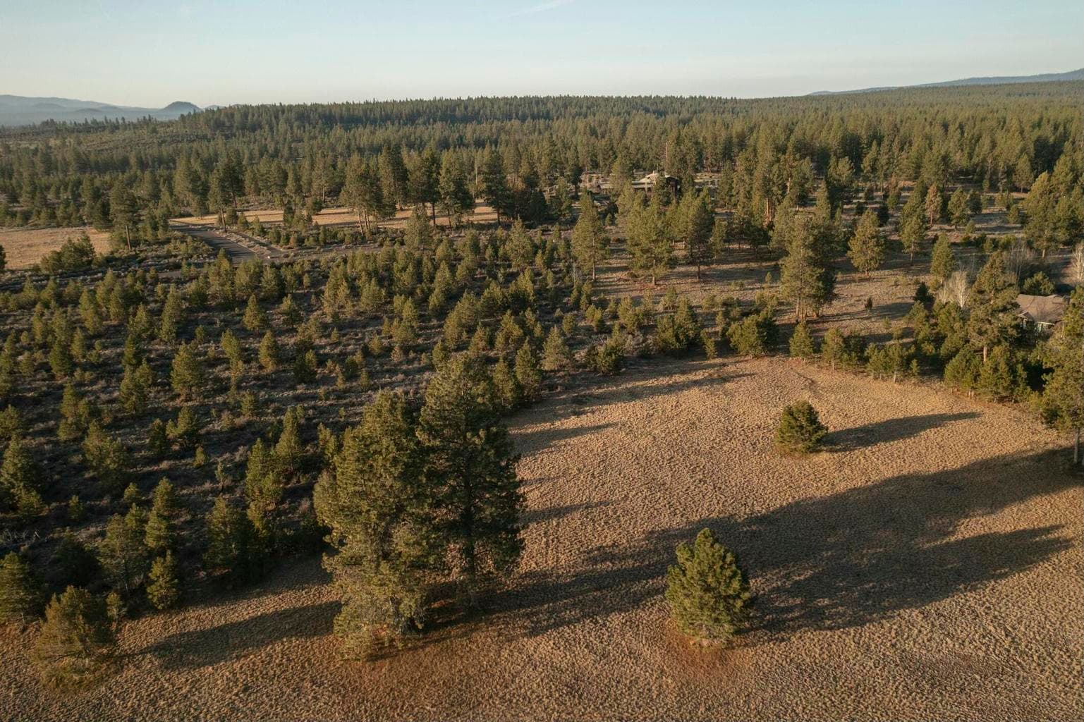 Photo of 18715 Macalpine 5 of 36