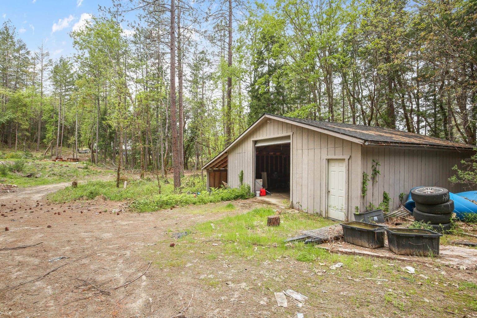 Photo of Redwood 5 of 33