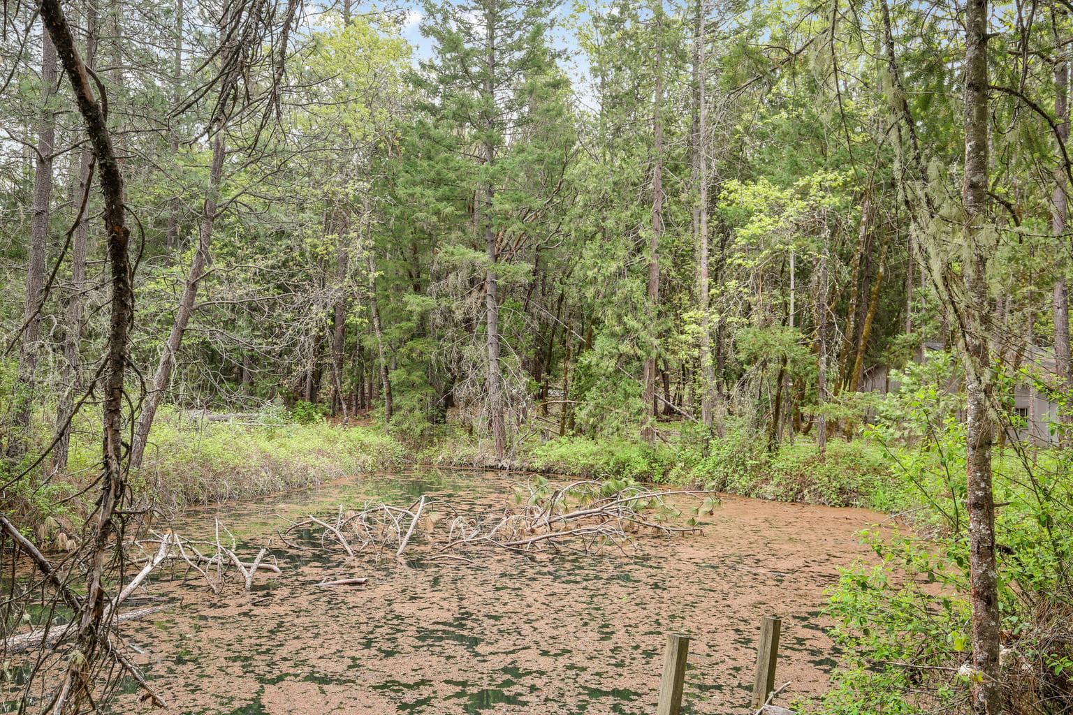 Photo of Redwood 2 of 33