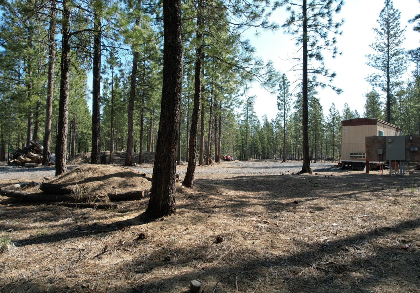 Photo of 51976 Mesquite 5 of 43