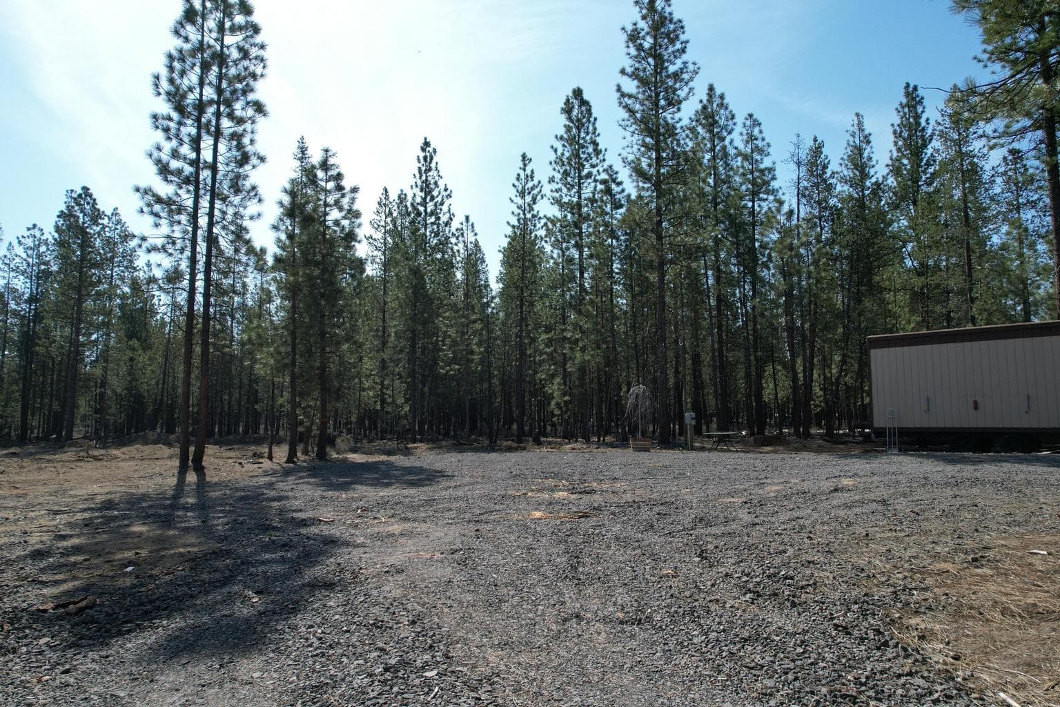 Photo of 51976 Mesquite 19 of 43