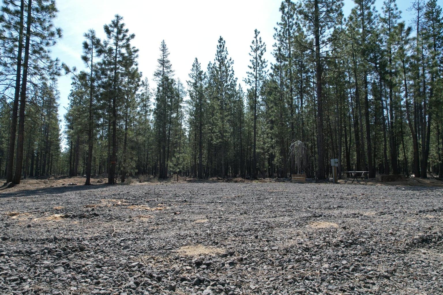 Photo of 51976 Mesquite 21 of 43