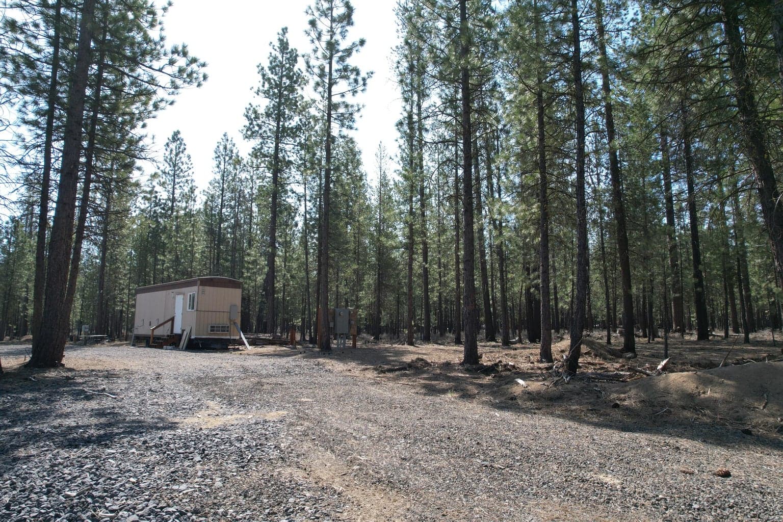 Photo of 51976 Mesquite 7 of 43