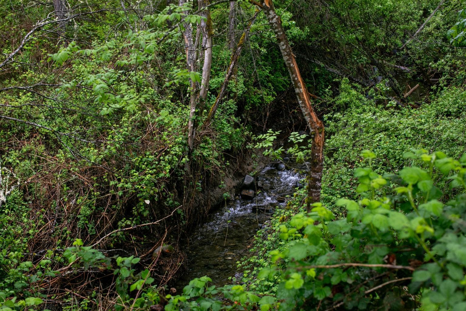 Photo of 2661 Wards Creek 2 of 15