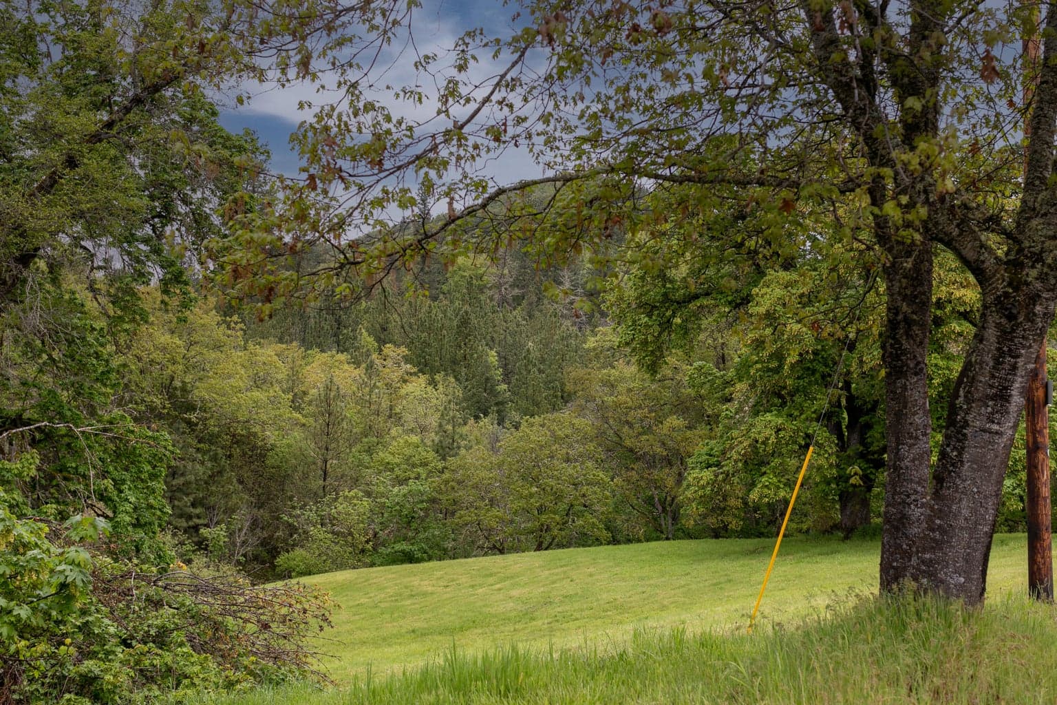 Photo of 2661 Wards Creek 4 of 15
