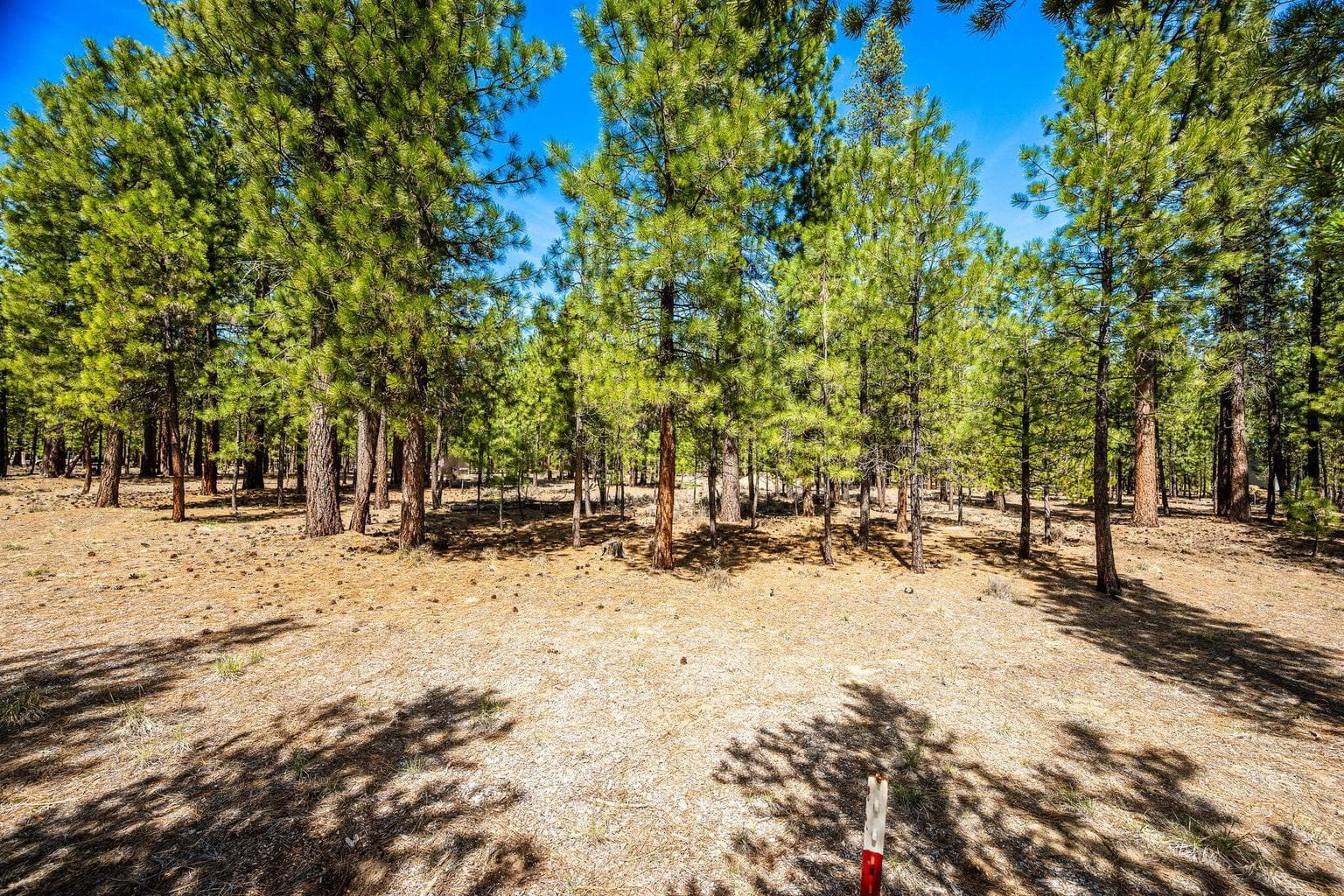51864 Applewood