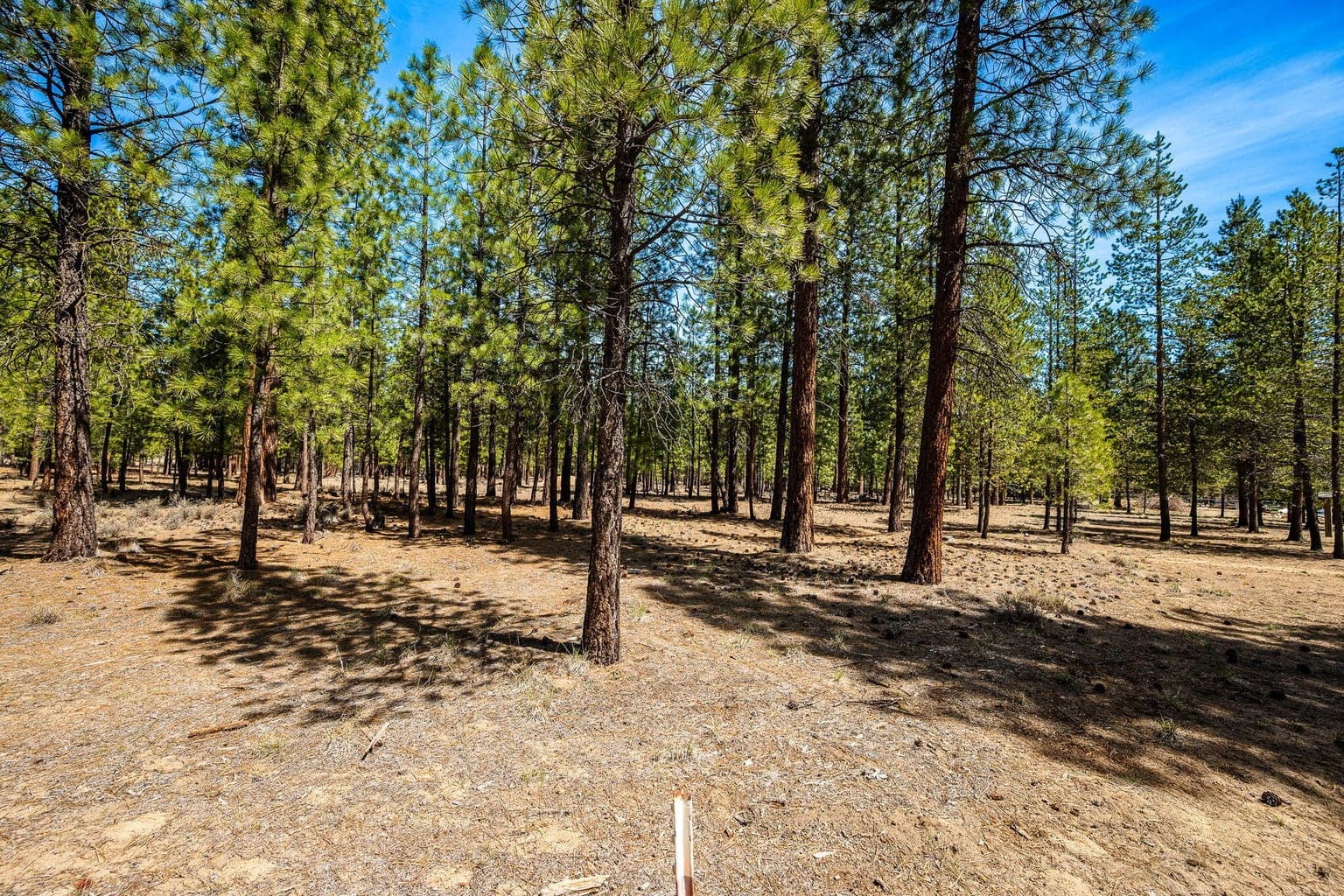 Photo of 51864 Applewood Way 10 of 17