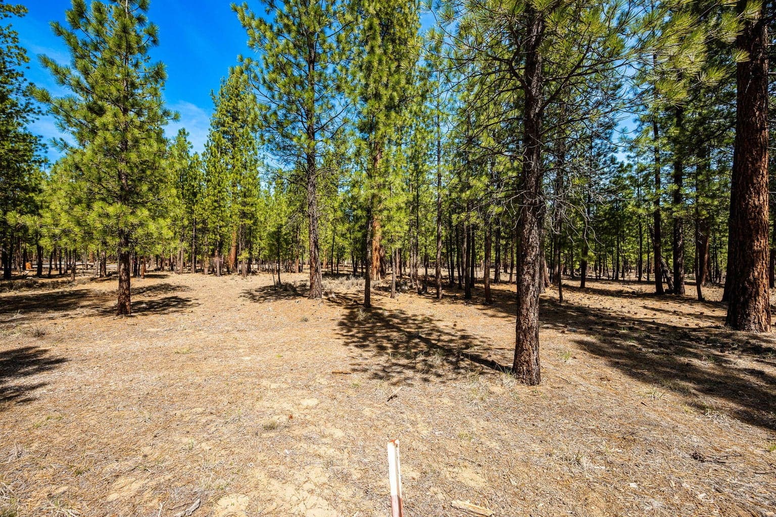 Photo of 51864 Applewood 3 of 17