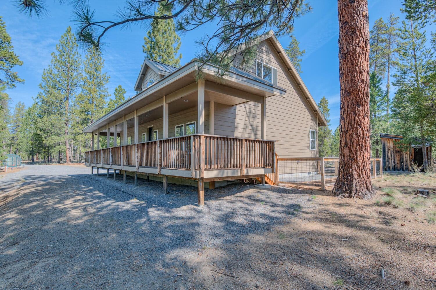 Photo of 15174 Yellow Pine 3 of 40