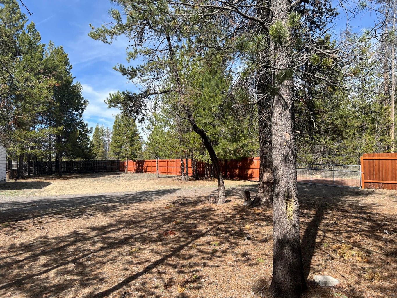 SIDE YARD