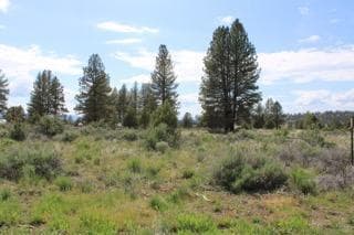 Deer Springs, Beatty, 97621