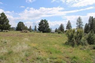 Photo of Deer Springs 2 of 13