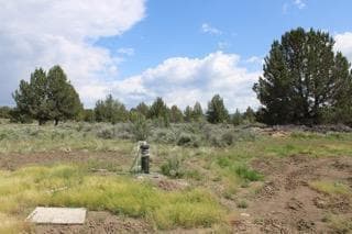 Photo of Deer Springs 3 of 13