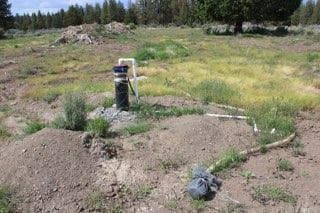 Photo of Deer Springs 4 of 13