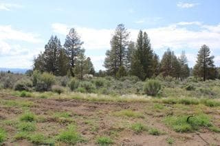 Photo of Deer Springs 5 of 13