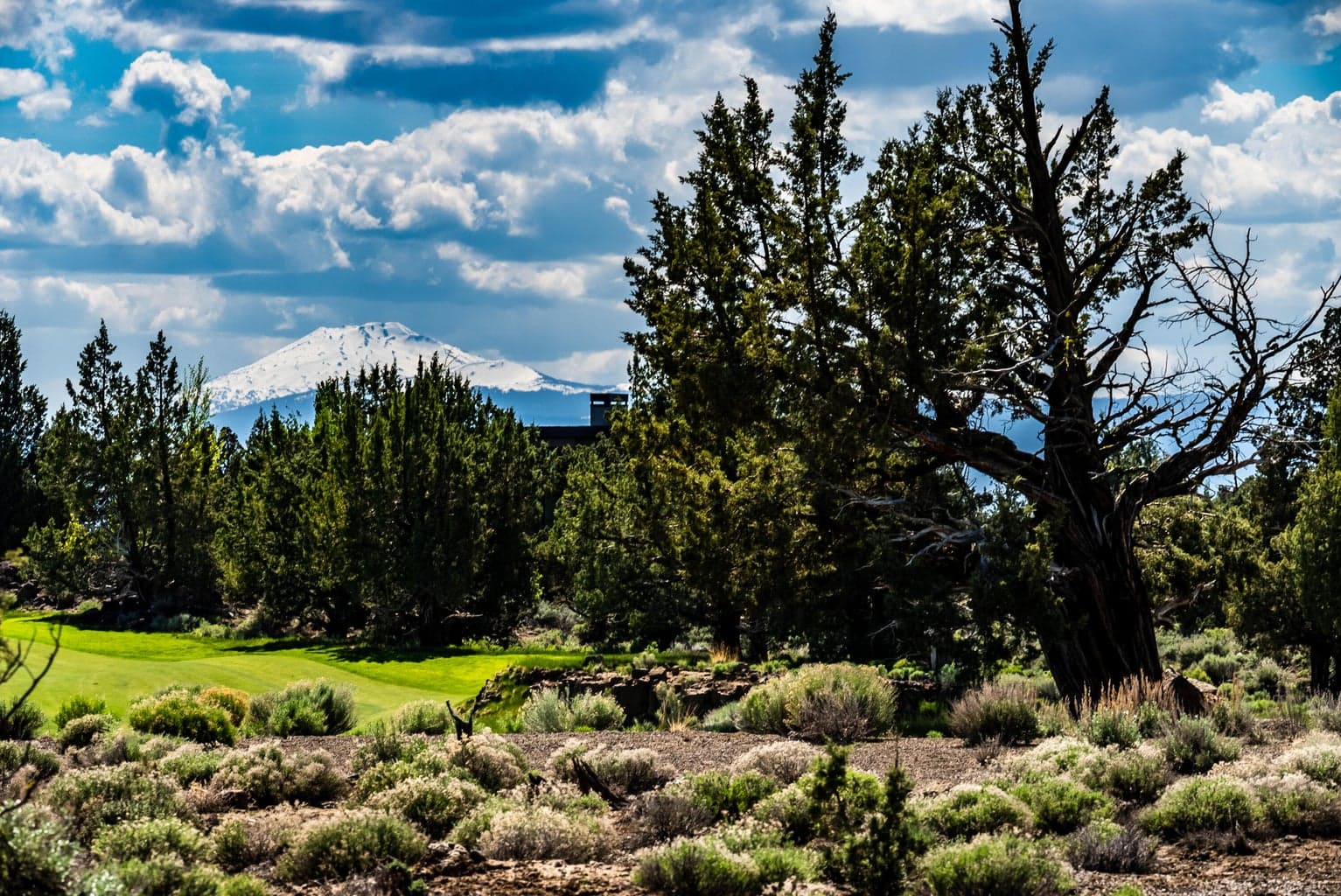 22933 Canyon View