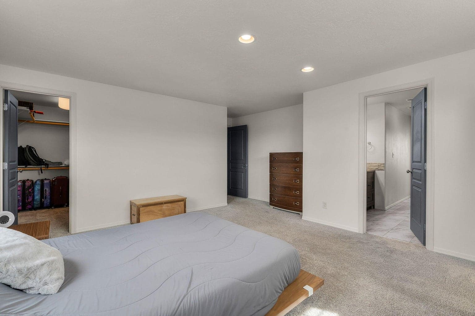 Primary suite has walk-in closet and beautiful bath
