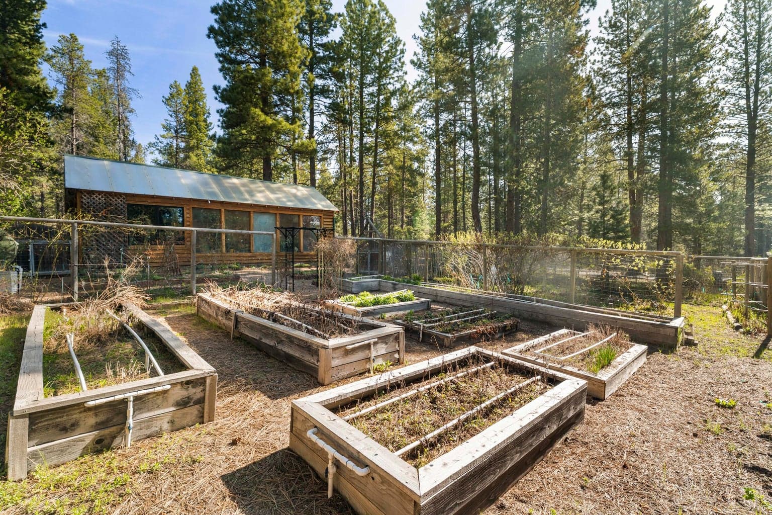 Fully fenced garden 50X60.