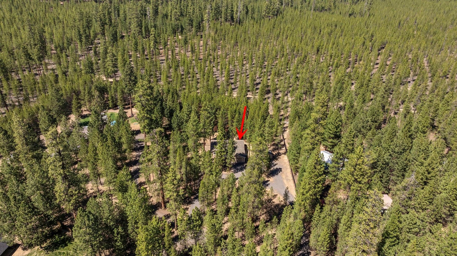 Photo of 14630 Bear Berry 24 of 24