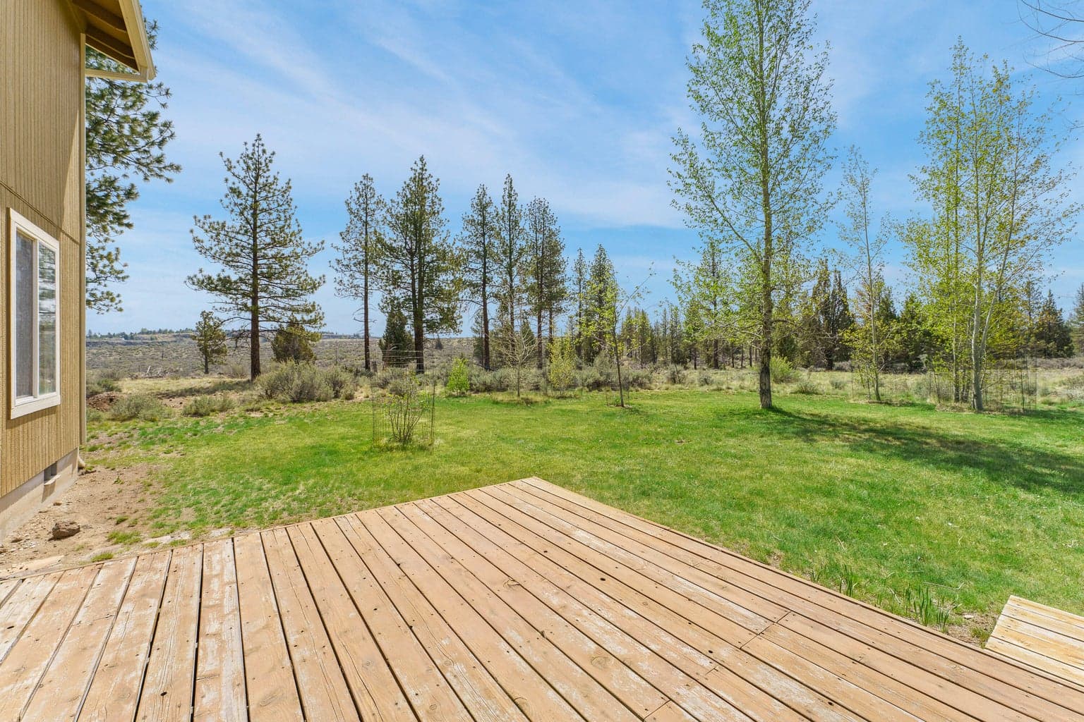 Photo of 22181 Calgary Drive 23 of 40
