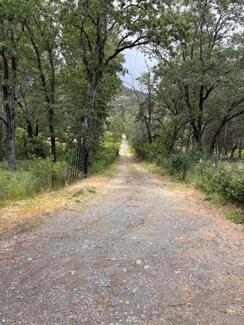 driveway easment