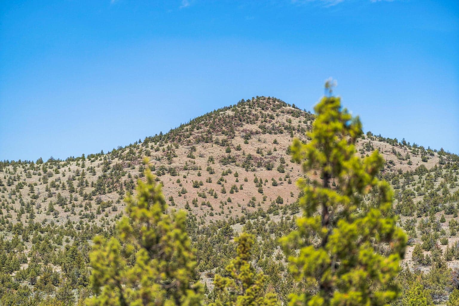 Photo of Brasada Ranch 15 of 16