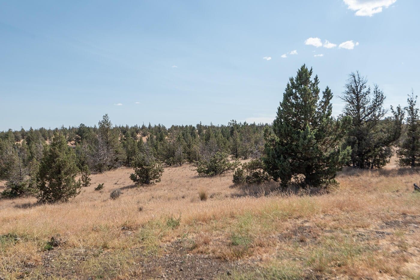 Photo of 1492 SE Texas Circle 34 of 40