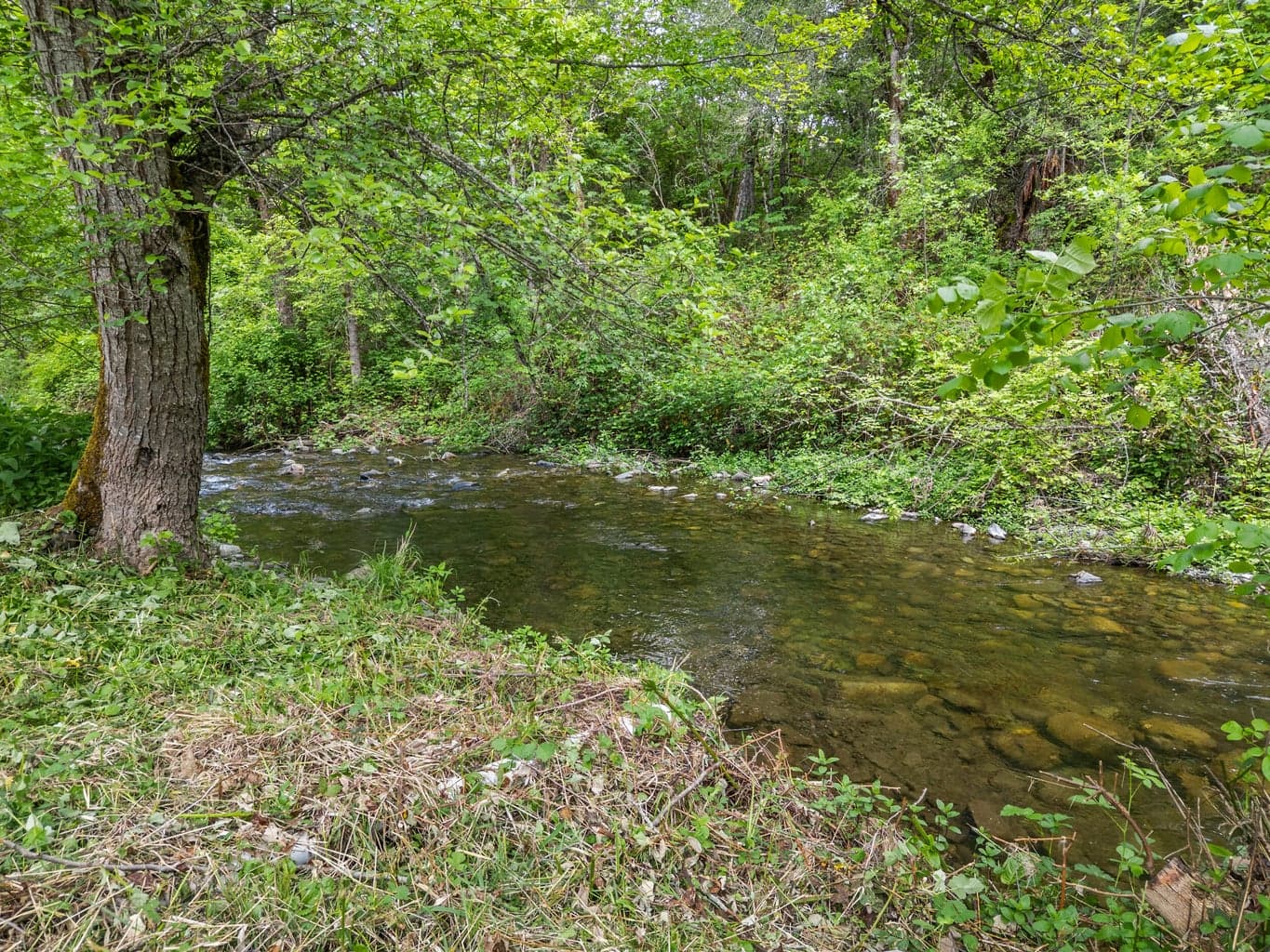 Photo of 3479 Thompson Creek 4 of 67