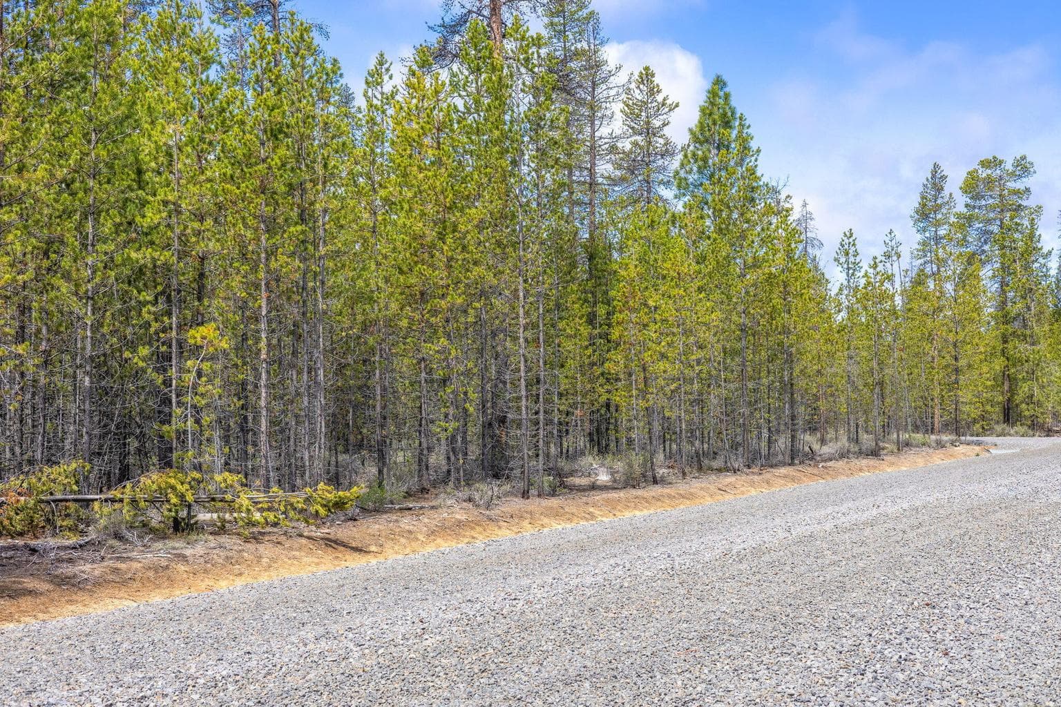 Photo of TL 09700 Buggy Whip Court 14 of 20
