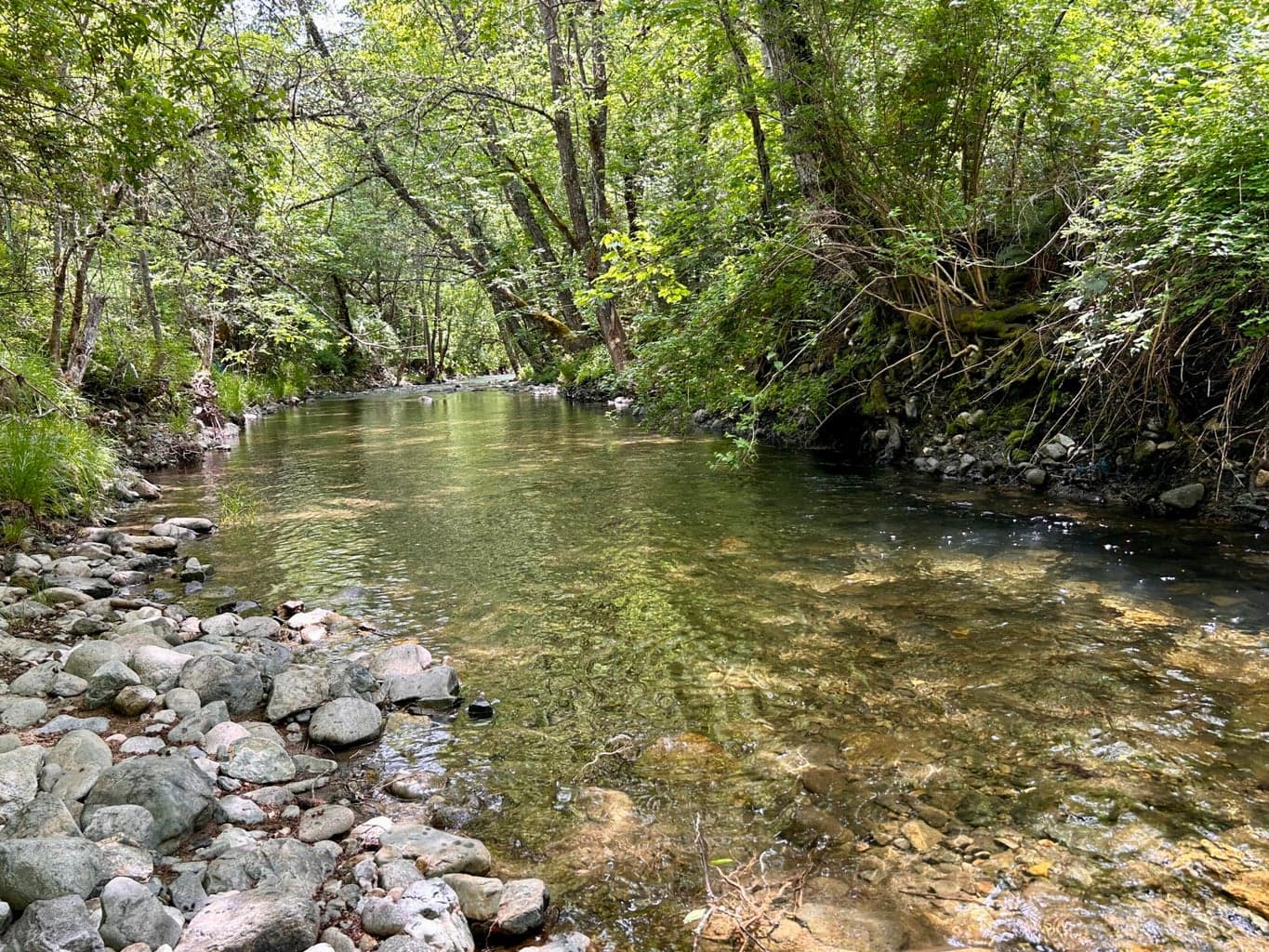 1773 Cedar Flat, Williams, OR, 97544
