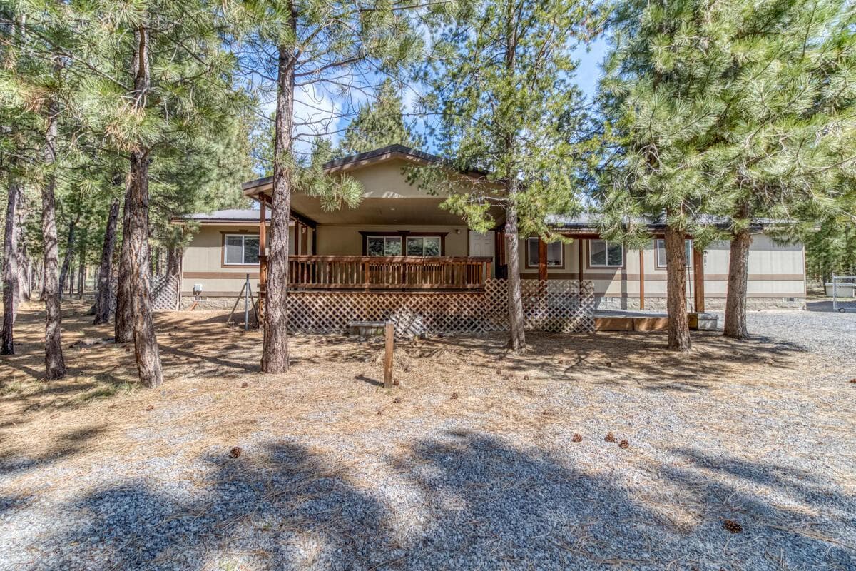 52084 Red Pine
