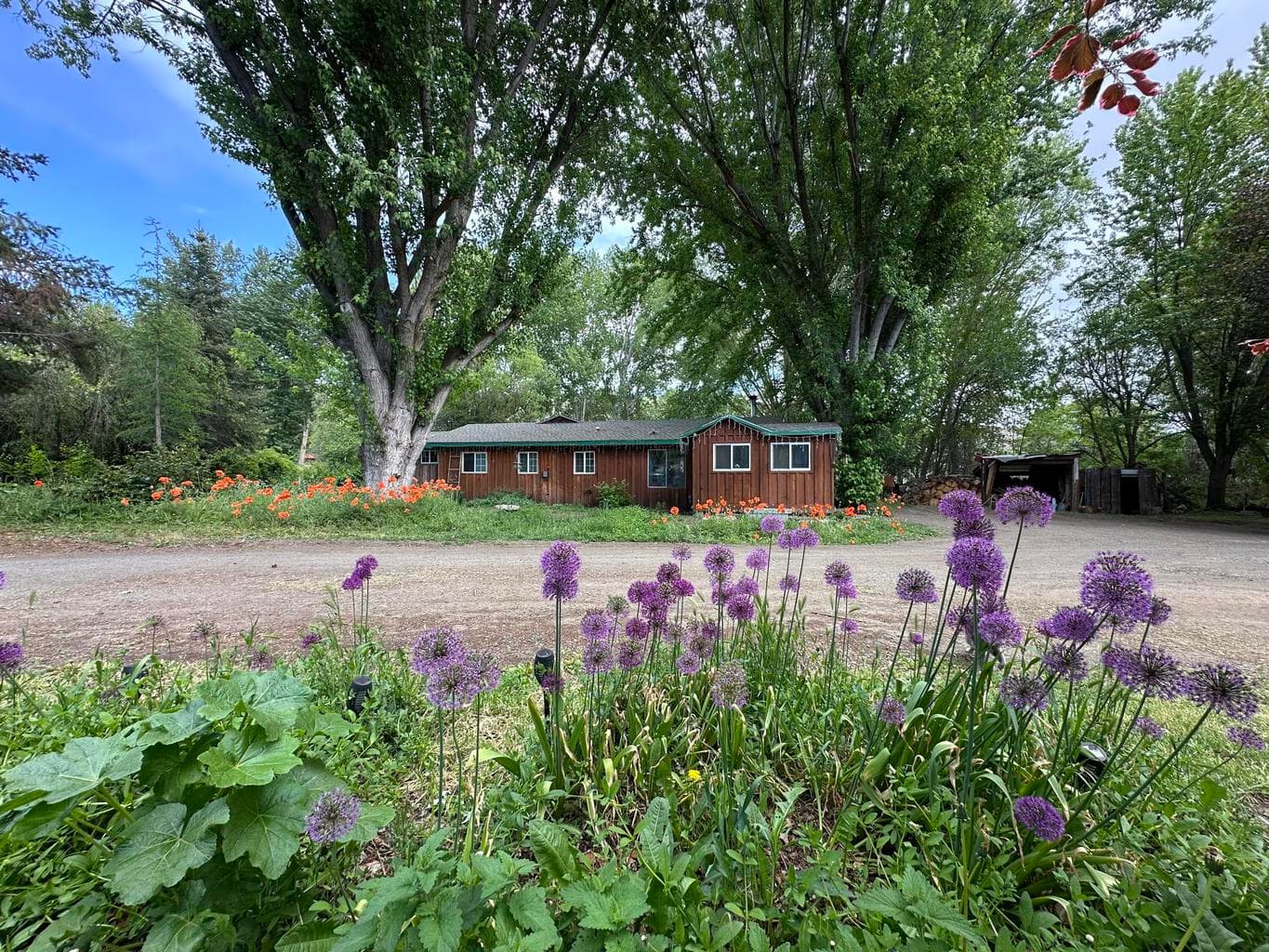 440 Mountain, Mount Vernon, 97865