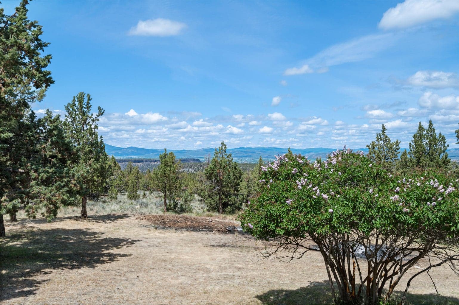 Photo of 791 SE Akins Drive 24 of 45