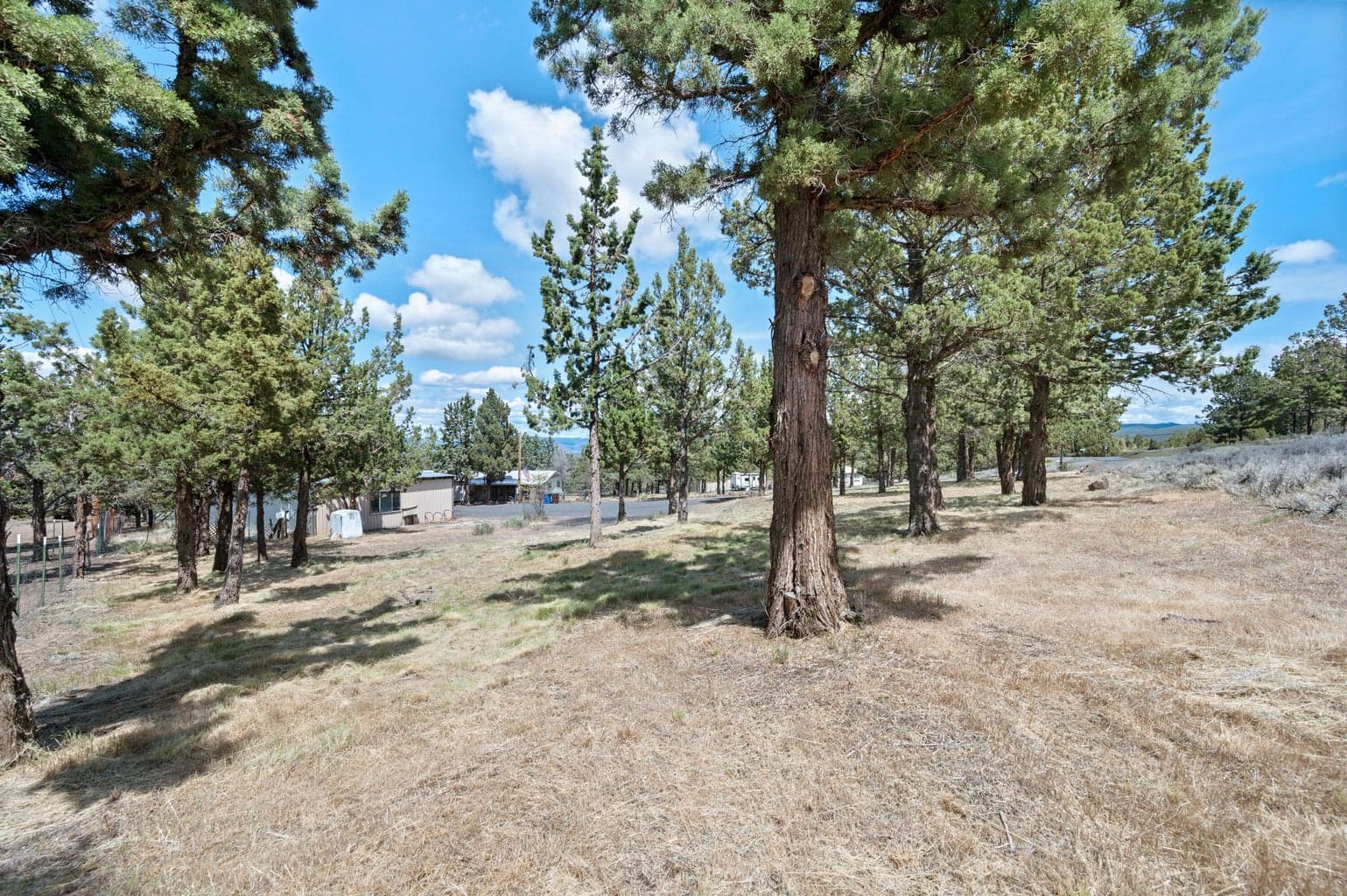 Photo of 791 SE Akins Drive 33 of 45