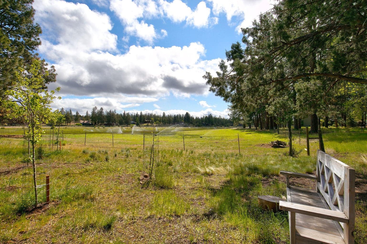 Photo of 15864 Blue Jay Way 13 of 41