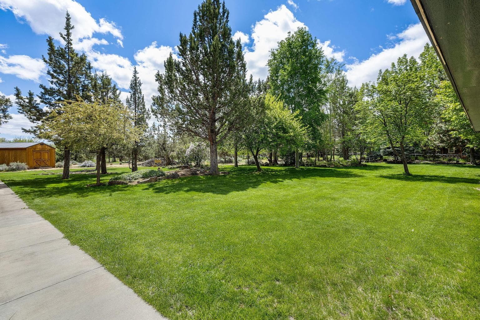 Gorgeous backyard.