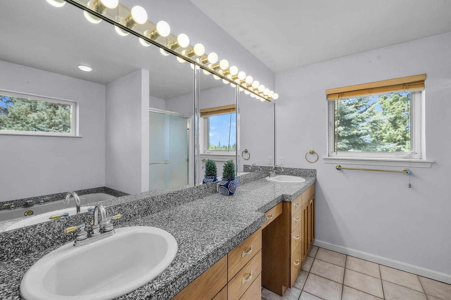 Primary Bath View 2