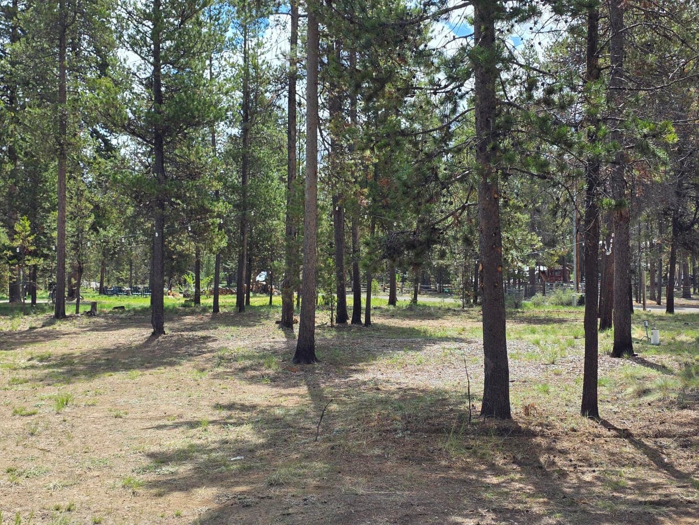 Photo of 16866 Sun Country 5 of 10
