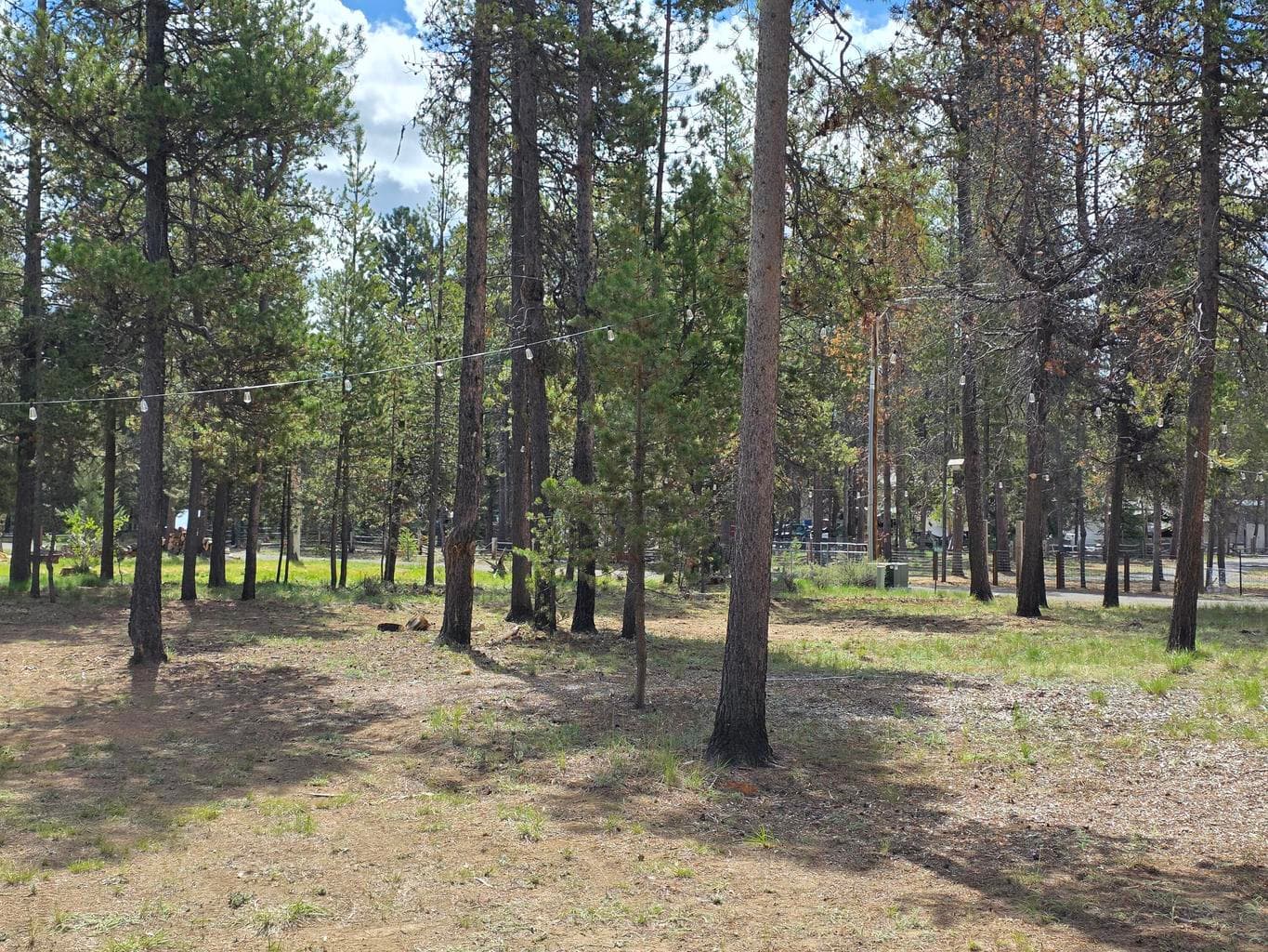 Photo of 16866 Sun Country Drive 6 of 10