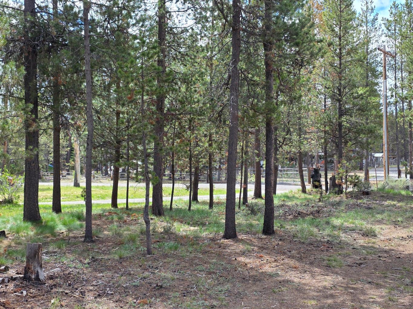 Photo of 16866 Sun Country Drive 8 of 10