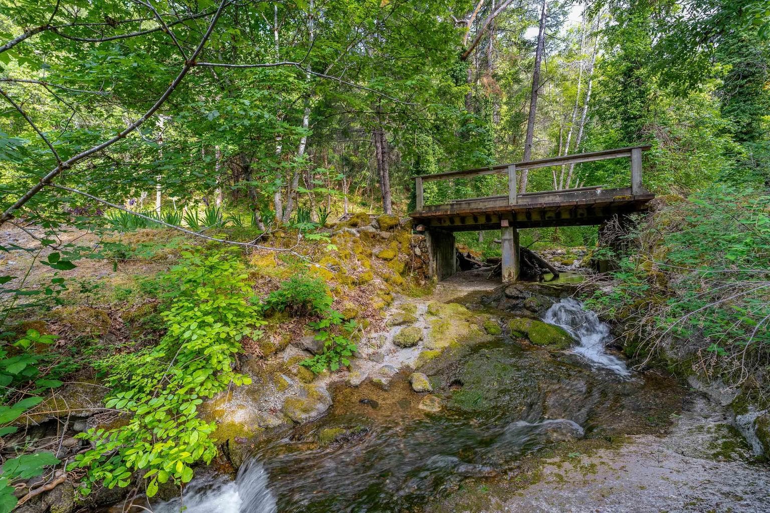 Photo of 988 Savage Creek 3 of 58