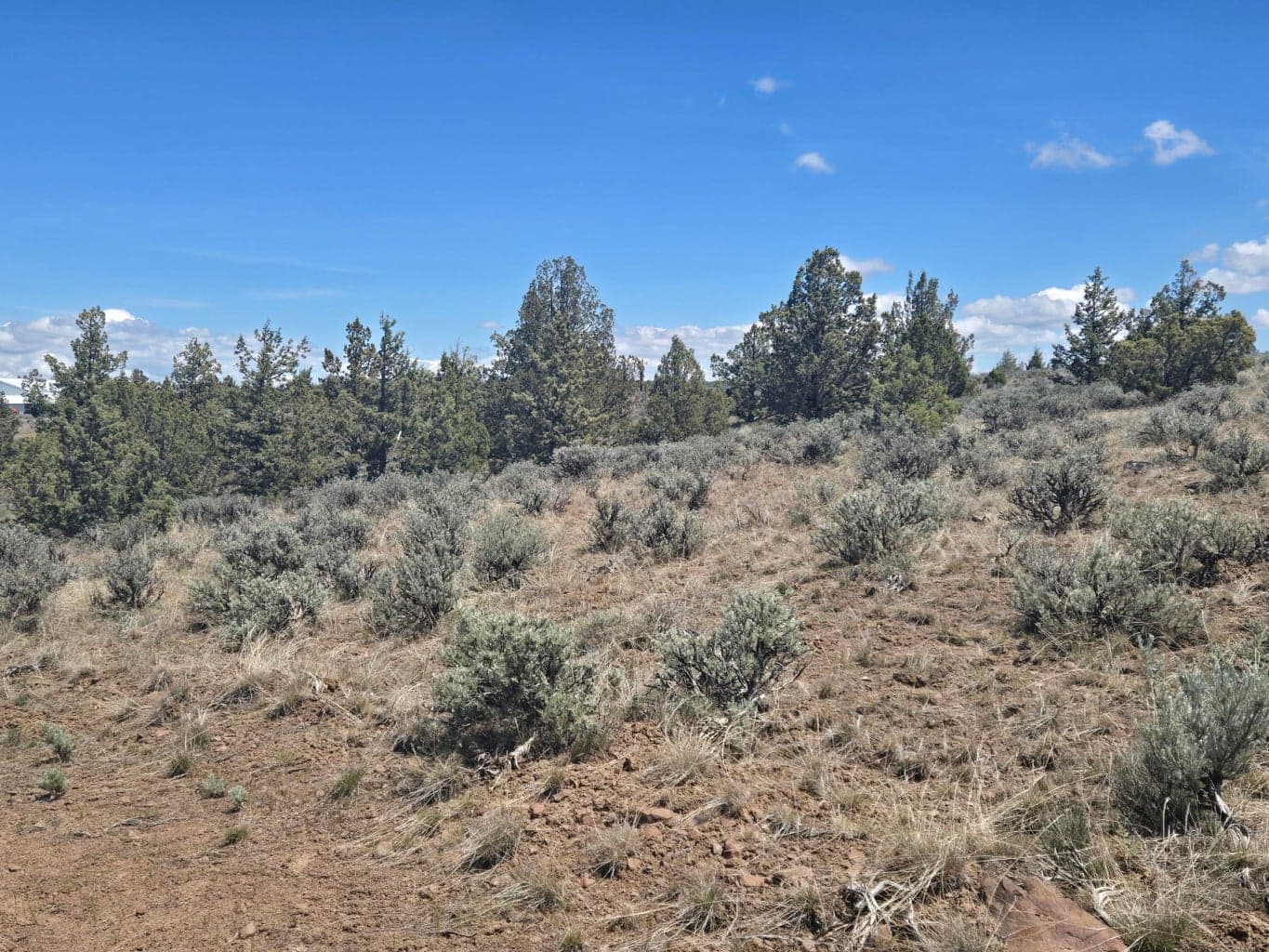 Photo of 5742 SE Thomas Road 11 of 15