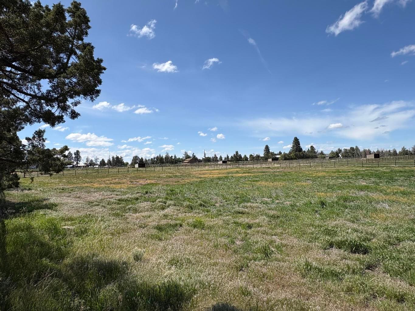 Lush grassy fields.