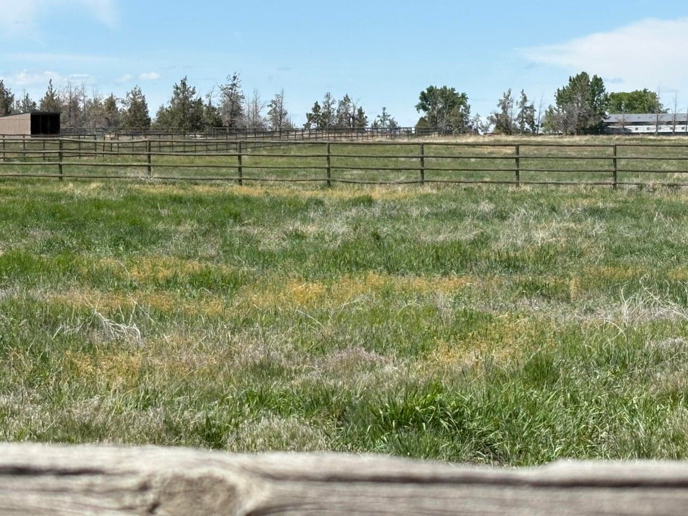 Fenced and cross fenced.