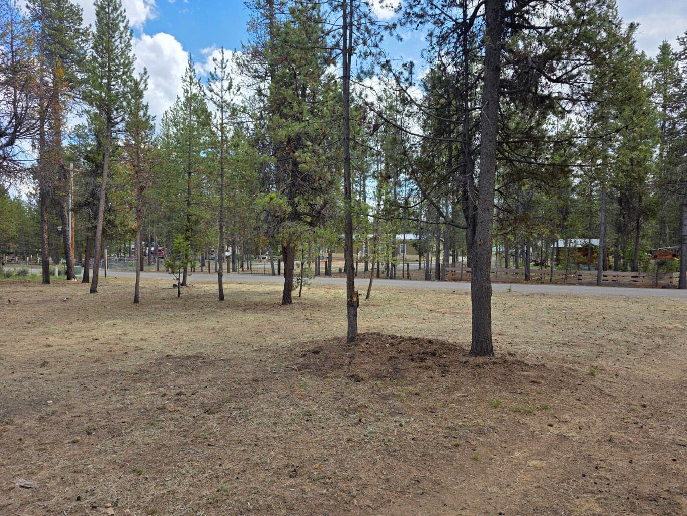 Photo of 16866 Sun Country 4 of 10