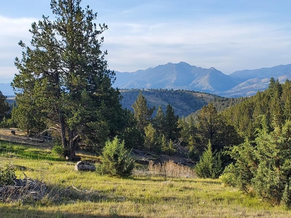 WILEY CREEK ROAD, Dayville, 97825