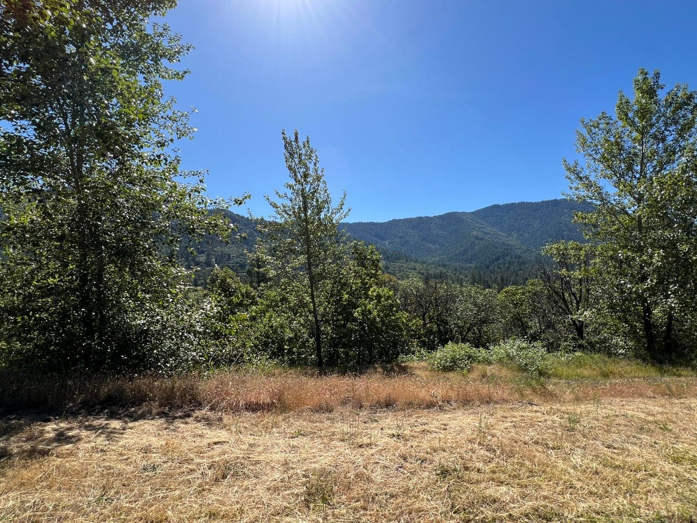1620 Panoramic