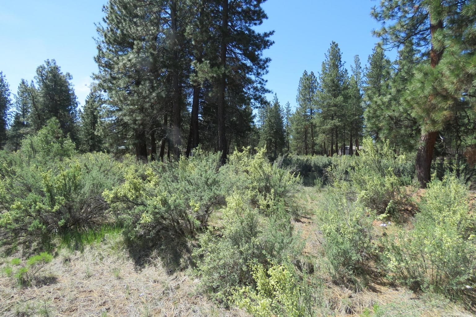 Photo of Castle Dr Lot 10 2 of 12