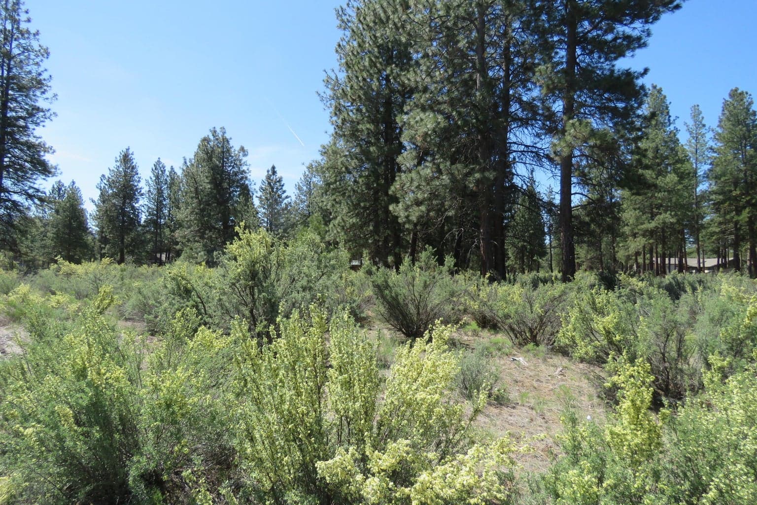 Photo of Castle Dr Lot 10 3 of 12