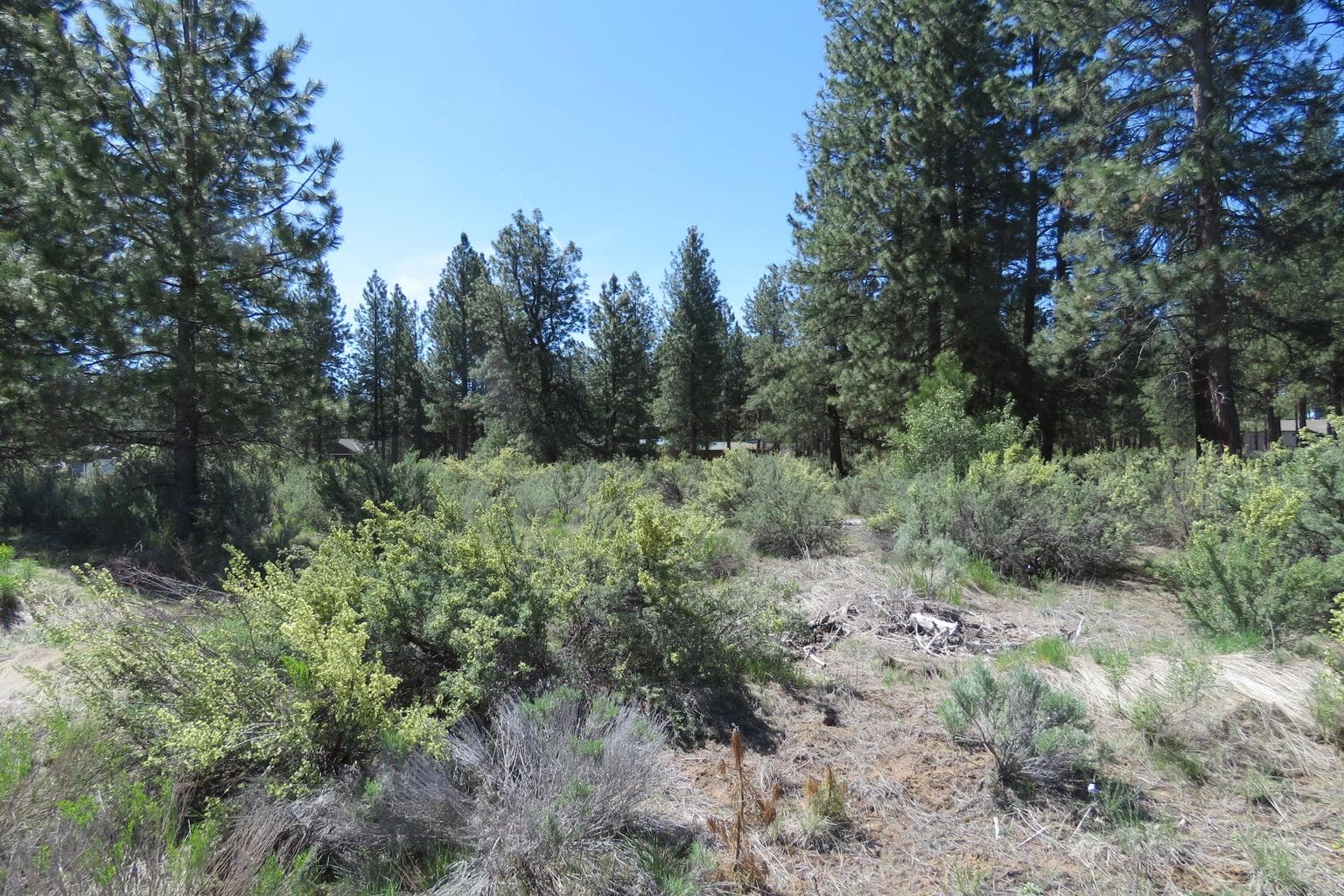 Photo of Castle Dr Lot 10 4 of 12